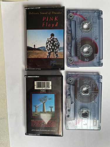 Pink floyd delicate - delicate, sound