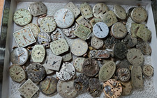 LOTTO 60 MOVIMENTI DONNA