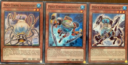 Lotto 3 carte - carte, pesce