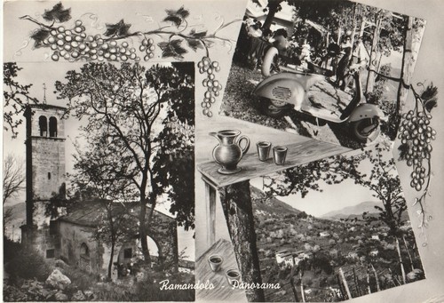 846 udine ramandolo - 846/sc.,