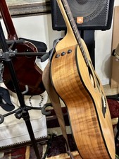 Taylor 114e  Acoustic Electric
