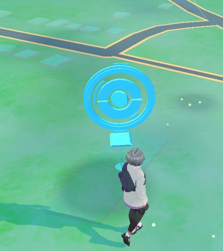 Pokémon servizio di - go,