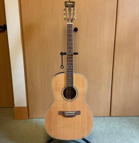 Chitarra elettrica acustica