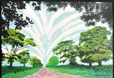 David Hockney  Litografia COA