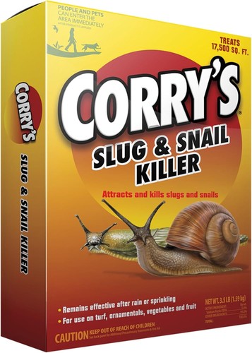 Corry slug snail - corry's, &