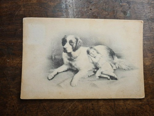 Cartolina cane compagnia - cartolina,