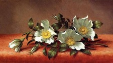 Olio Martin Johnson Heade - La