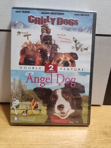 Chilly dogs and angel dog - dogs,