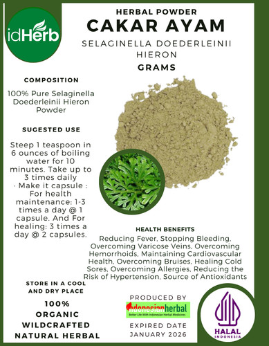 500 selaginella - g,