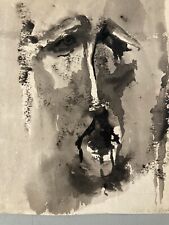 Molto Bello Disegno Wash