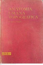 Anatomia umana topografica