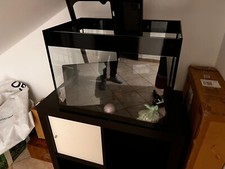 acquario Modello askoll PURE L