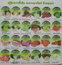 Piante Finger Lime (Limone