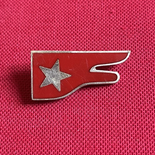 253 distintivo mostrina - 253,