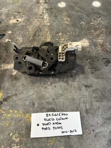 Bm5a16700blocco cofano ford - bm5a16700blocco,