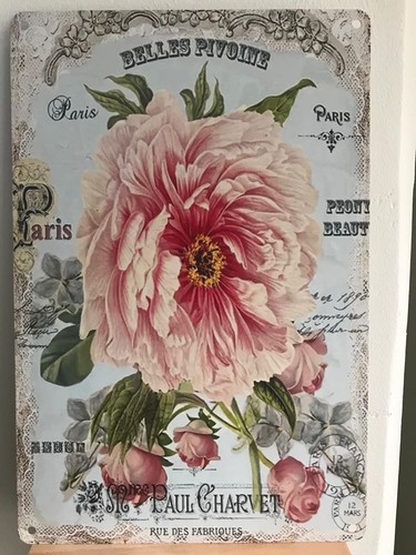 Targa decorativa metallo - decorativa, cm