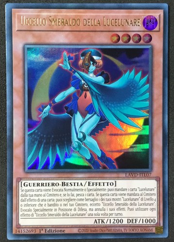 Uccello smeraldo della - uccello,
