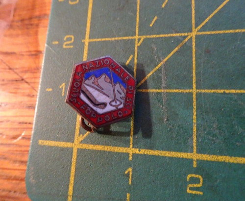 Pin spilla distintivo - pin, piccolo