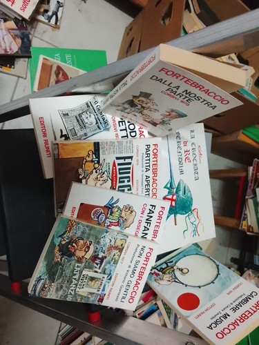 Lotto fortebraccio - lotto,