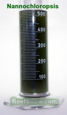 FITOPLANCTON acquario marino