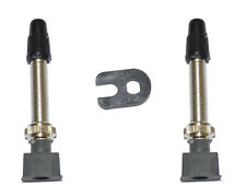 COPPIA VALVOLE PRESTA PER TUBELESS X CERCHI MTB