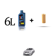 Kit filtro olio e 6L per