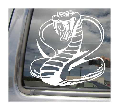 Cobra snake adesivo - -,