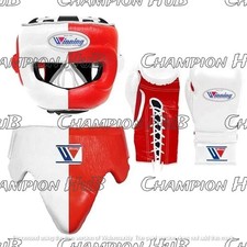 Nuovo kit boxe vincente -