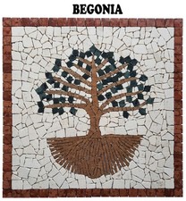 ''Begonia'' mosaici mosaico in