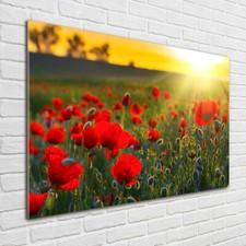 Quadro in vetro quadri da
