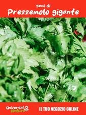 100 Semi di 🌿 Prezzemolo