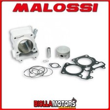 3111588 GRUPPO TERMICO MALOSSI