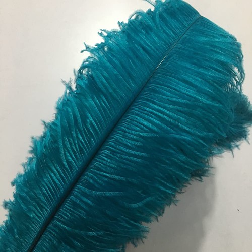 Sowder piume struzzo da - 10,