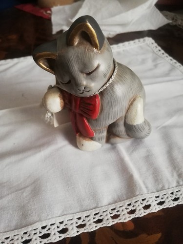 Raro gattino thun fuori - gattino,