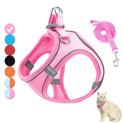Set pettorina gatti - set,