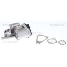 Valvola egr triscan 881325201 - valvola,