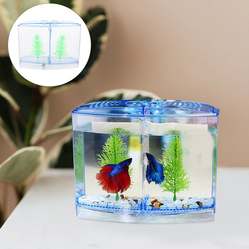 Decorazione acquario - ,