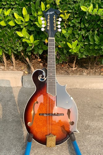 Aiersi mandolino stile - mandolino,