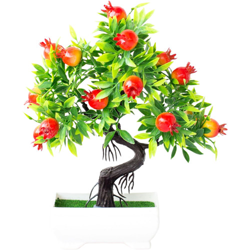 Bonsai melograno giallo - di,