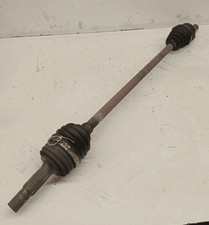 8250050595008 Semialbero ant