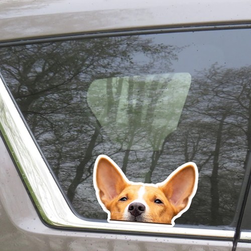 Adesivo auto basenji - auto,