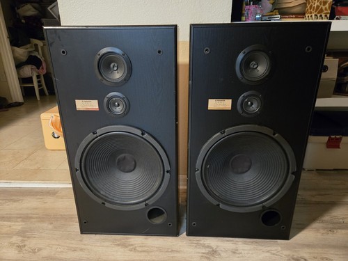 Pair vintage pioneer - pair, of