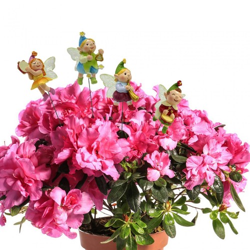 Accessori per giardino - accessori,