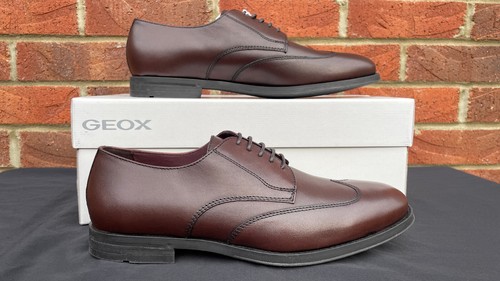 Nuove scarpe oxford geox uomo - nuove,