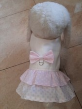 Accessori per cani - accessori,