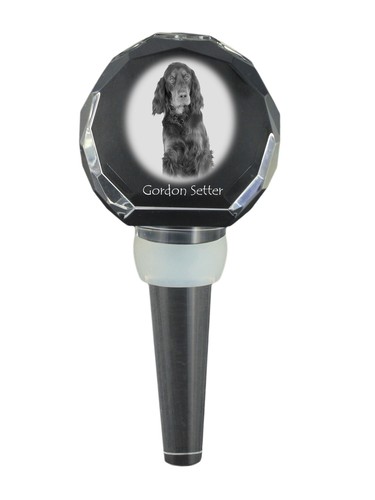 Gordon setter scozzese - setter,