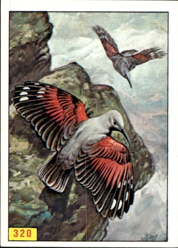 Figurina uccelli panini - uccelli, ed.panini