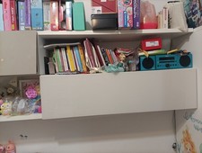 mensole contenitori con anta richiedibile in legno E Vetro