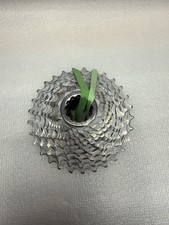 Cassetta Wireless Campagnolo