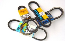 Cinghia di trasmissione